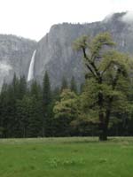 25-Yosemite_Falls_with_rain_clouds_surrounding_the_valley