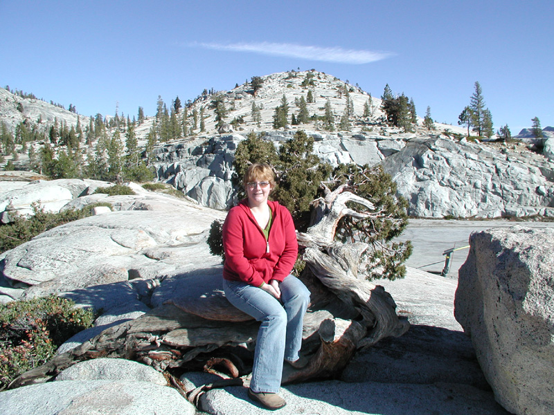 71-Kristi_sitting_on_a_Bristlecone_Pine_at_Olmsted_Point