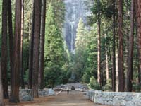 55-Yosemite_Falls_from_lower_falls_trail