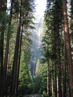 57-Yosemite_Falls_from_lower_falls_trail