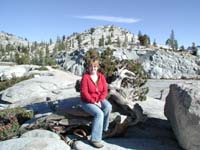 71-Kristi_sitting_on_a_Bristlecone_Pine_at_Olmsted_Point