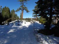48-a_bit_of_iced_snow_in_Glacier_Point_area