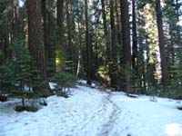 53-very_pretty_solitude_view_with_forest_and_snow