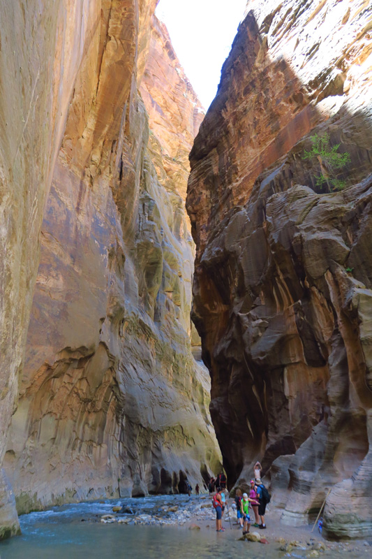 43-looking_down_Zion_Canyon_section