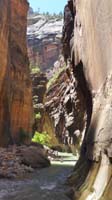 46-Kenny_with_steep_narrow_section-adults_hike_dry_land,Kenny_walks_through_the_water
