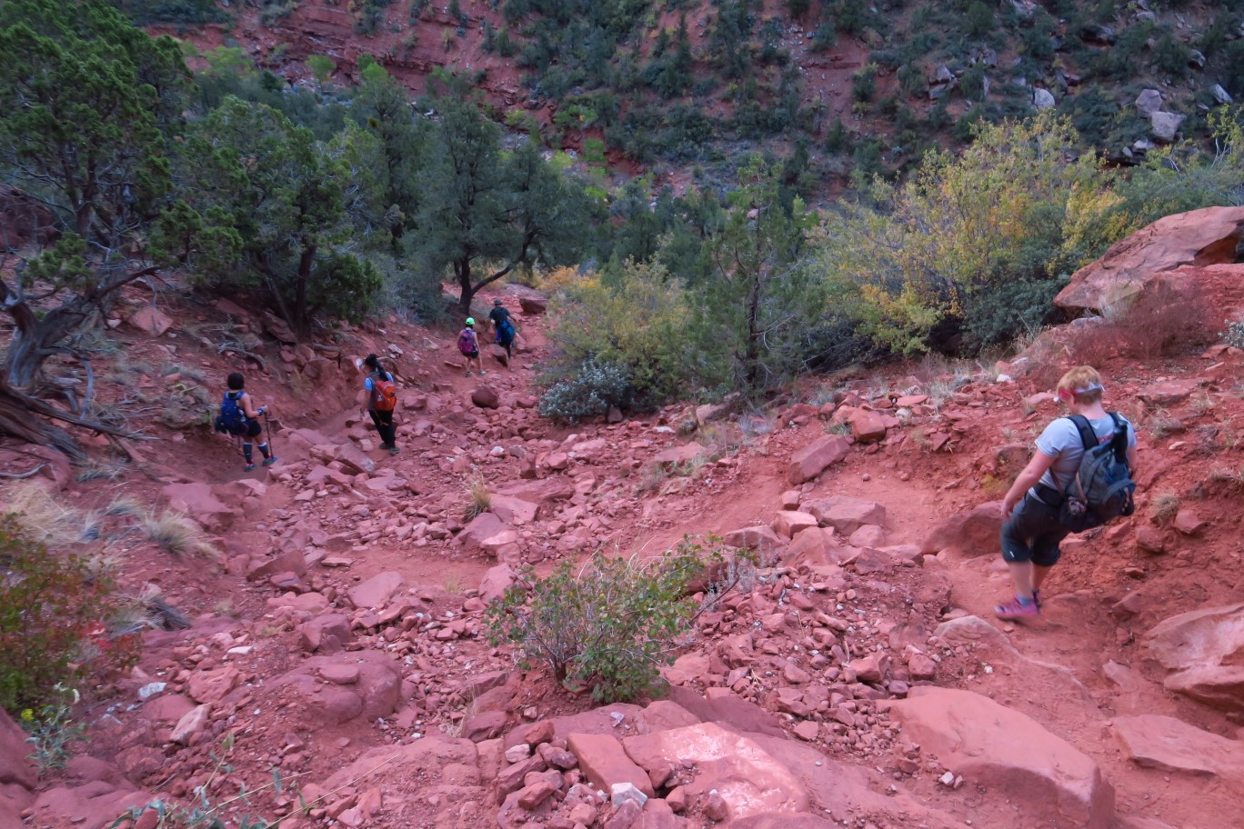 019-group_on_the_trail_descending