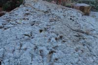 038-dinosaur_tracks_on_the_sandstone