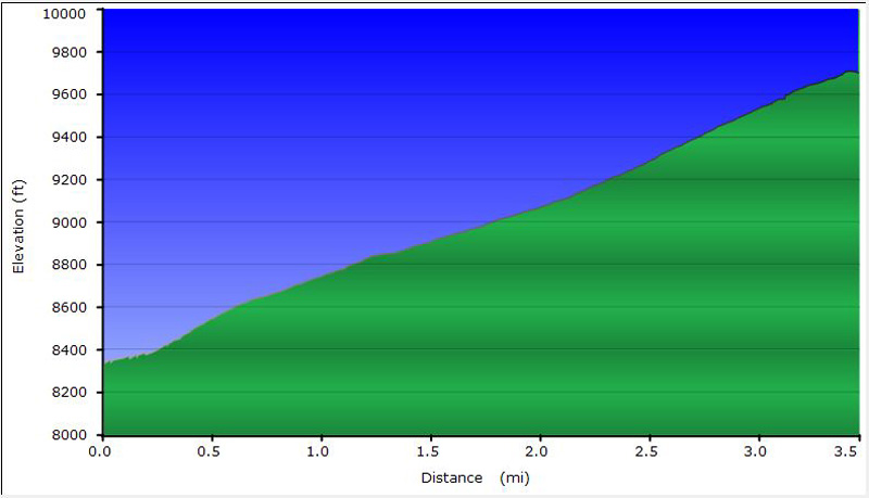 45-Big_John_Campground-dirt_road_profile