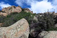 24-got_around_to_backside_only_finding_a_bushwhacking_opportunity_up,not_pleasant