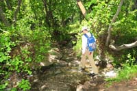 27-stream_crossing_on_trail