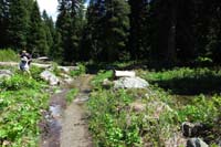 29-portion_of_the_trail_is_a_seasonal_stream