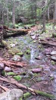 27-pretty_forest_scenery_with_merging_stream-Kenny's_picture
