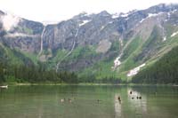 30-Avalanche_Lake_and_scenery-Canadian_Geese_swimming_and_eating