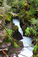 56-pretty_cascading_Avalanche_Creek_along_trail