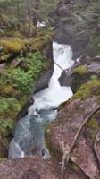 57-pretty_cascading_Avalanche_Creek_along_trail-Kenny's_picture