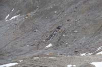 054-zoom_view_of_glacial_feature-spring_flowing_through_moraine_till