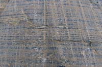 131-glacial_feature-more_striations_and_polished_rock